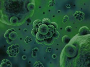 微生物是通過何種方式將廢水中的污染物分解去除掉的？